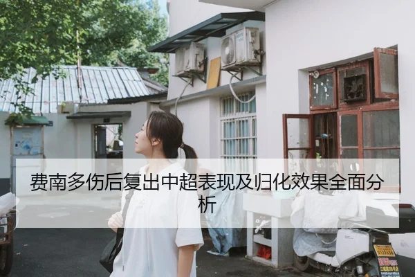费南多伤后复出中超表现及归化效果全面分析